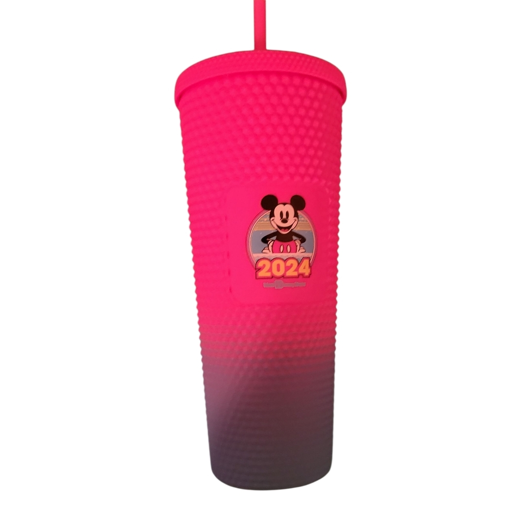 Starbucks 2024 Disney Diamond Cut Tumbler Pink/Blue